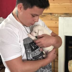 Meet your Posher, William